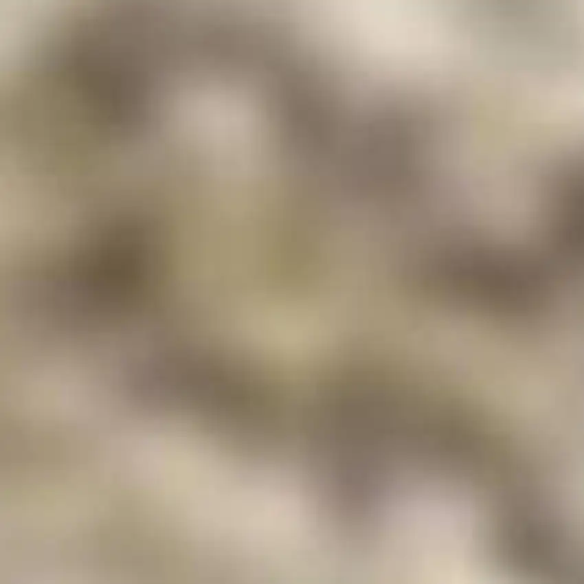 Taupe and Ivory Floral Non Skid Area Rug Photo 5