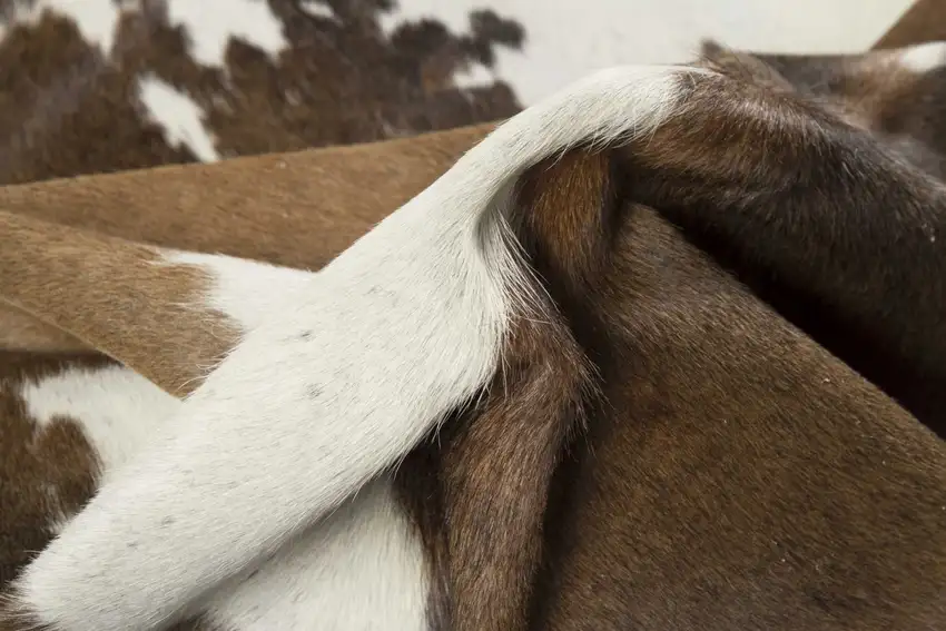 Taupe and White Cowhide - Rug Photo 3