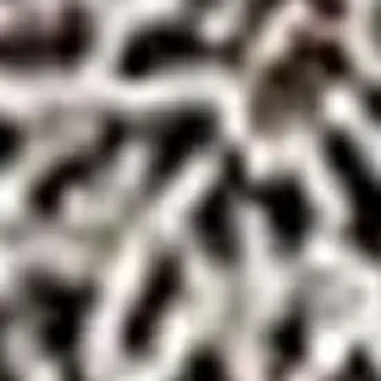 Teal And Beige Floral Washable Area Rug With UV Protection Photo 4