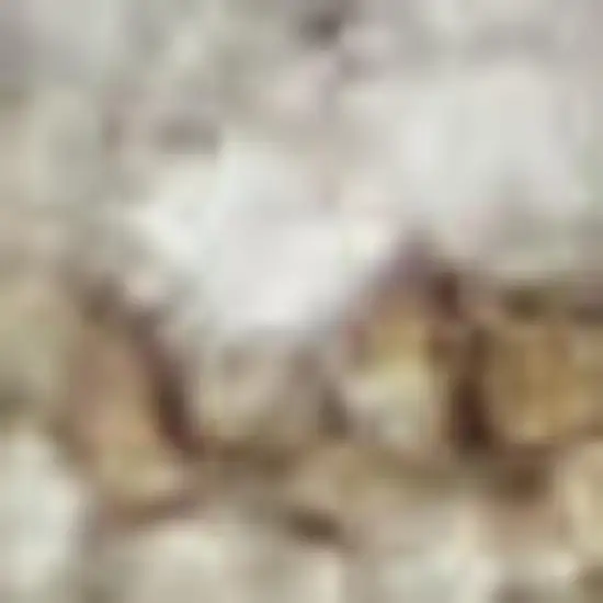 Teal And Ivory Floral Area Rug Photo 2