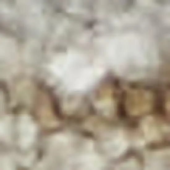 Teal And Ivory Floral Area Rug Photo 3