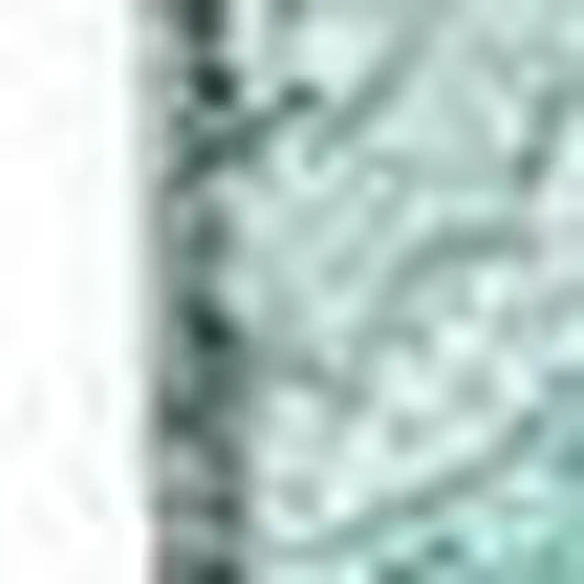 Teal And Ivory Paisley Washable Area Rug With UV Protection Photo 5