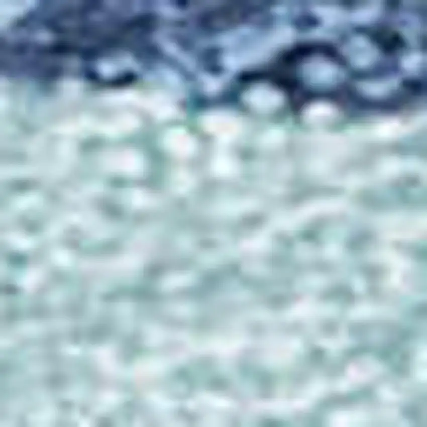 Teal Blue And Navy Blue Seashell Washable Indoor Outdoor Area Rug Photo 2