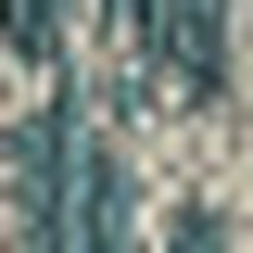 3'X4' Teal Machine Woven Uv Treated Animal Print Indoor Outdoor Accent Rug Photo 4