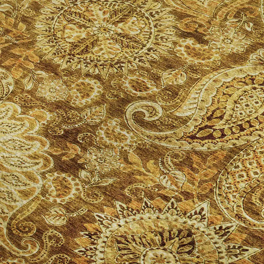 Terra Cotta And Beige Paisley Washable Area Rug With UV Protection Photo 2