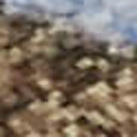 Terra Cotta And Blue Abstract Washable Area Rug With UV Protection Photo 3