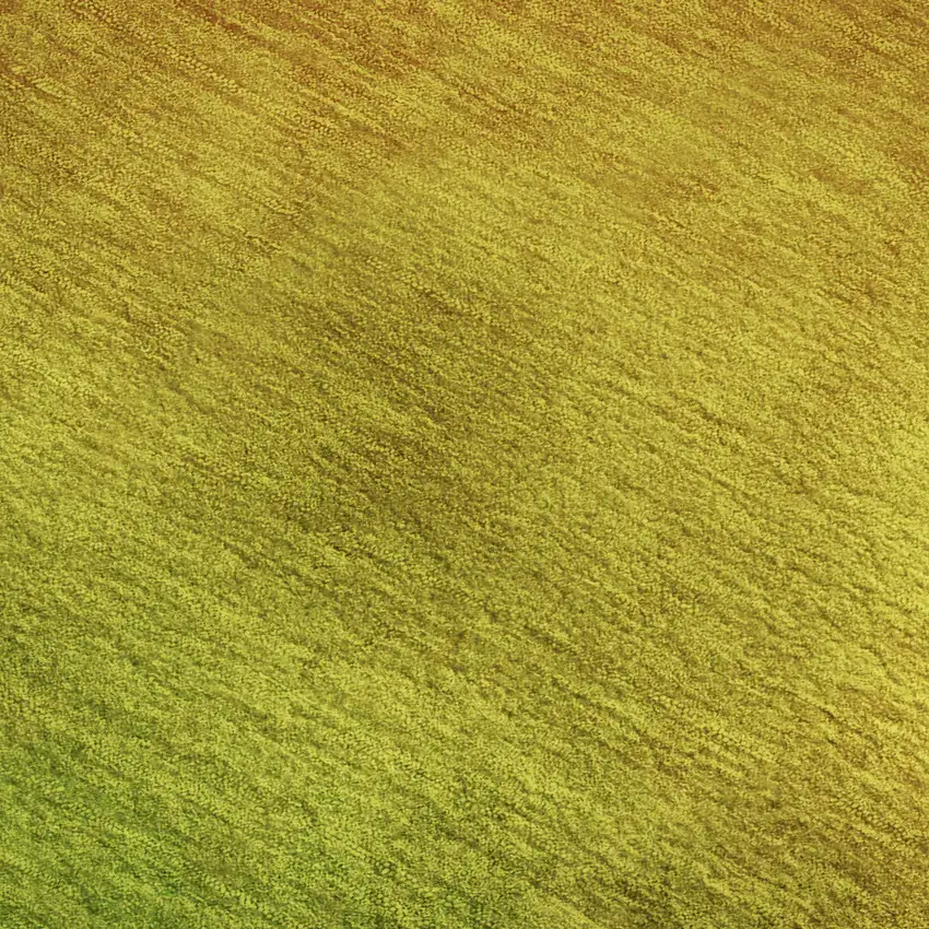 Terra Cotta And Green Ombre Washable Area Rug With UV Protection Photo 5