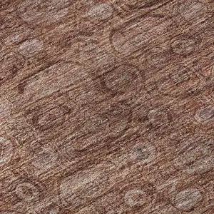 Photo of Terra Cotta And Rust Oriental Washable Area Rug With UV Protection