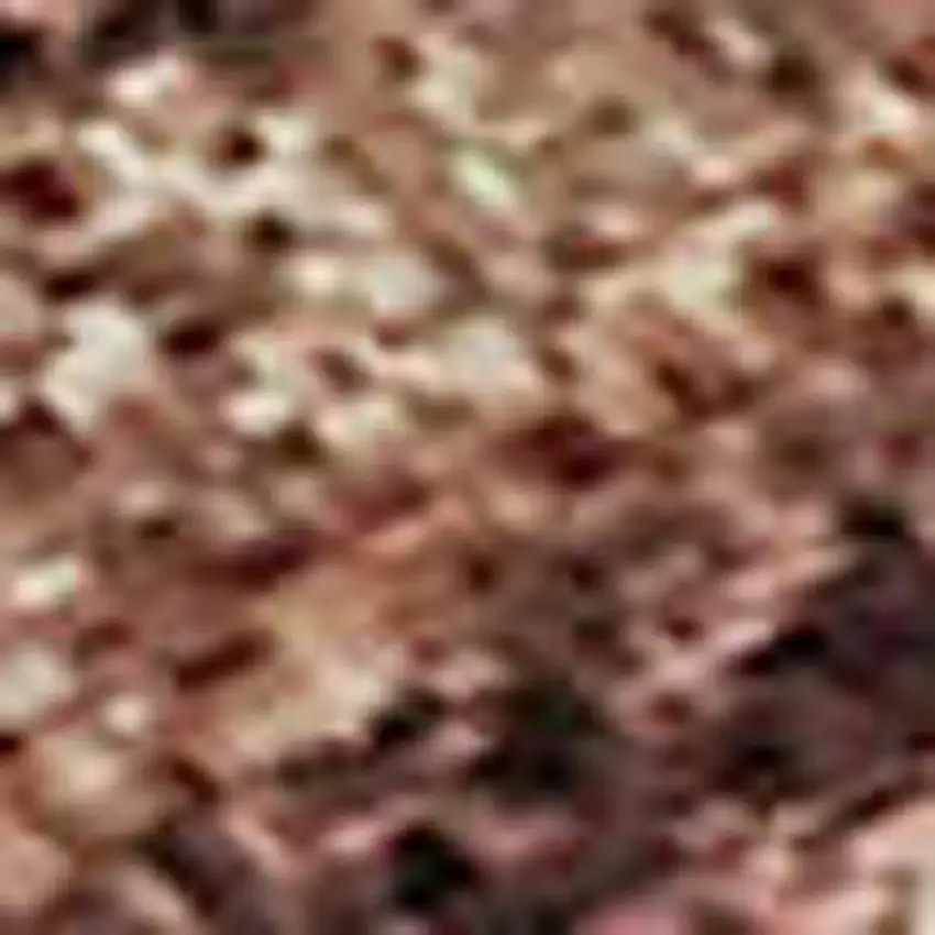 Terra Cotta And Rust Oriental Washable Area Rug With UV Protection Photo 2