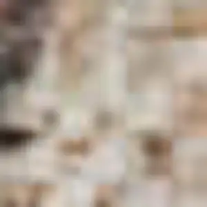 Photo of Terra Cotta Ivory And Gray Abstract Washable Area Rug With UV Protection