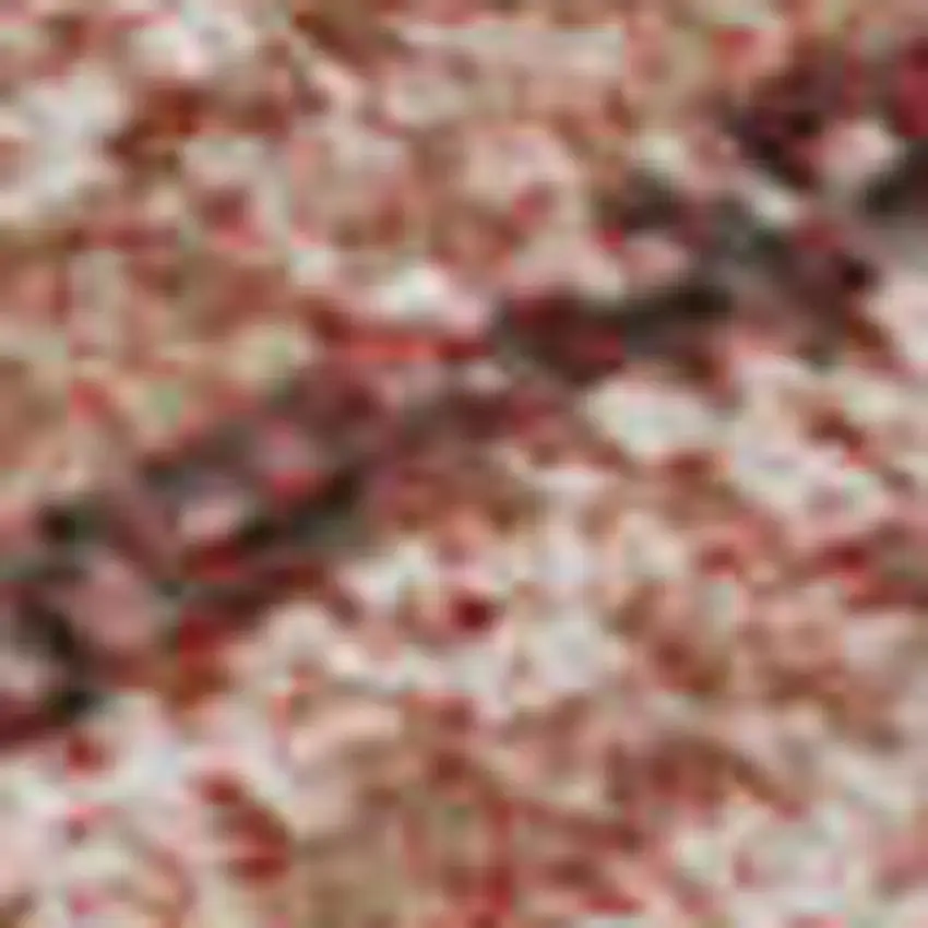 Terra Cotta Salmon And Blush Abstract Geometric Washable Area Rug With UV Protection Photo 2