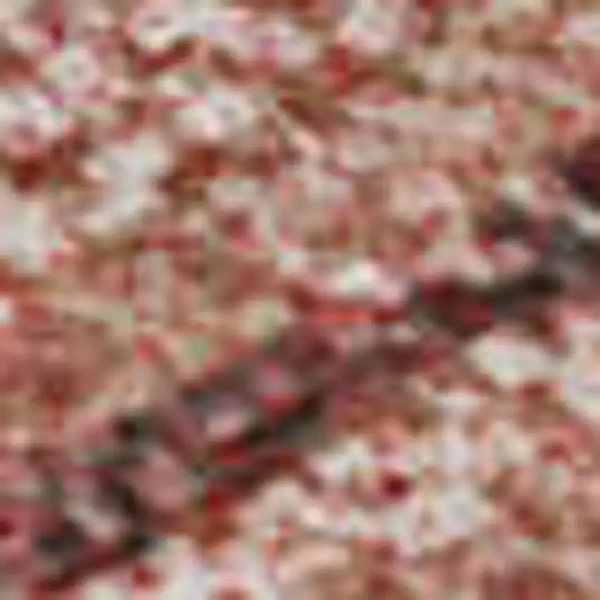 Terra Cotta Salmon And Blush Abstract Geometric Washable Area Rug With UV Protection Photo 3