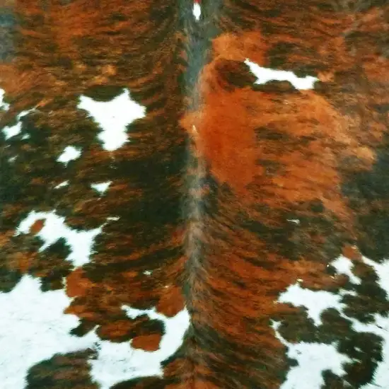 Tri-Colored Brindled Cowhide Rug Photo 4