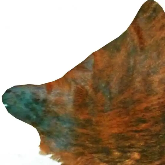 Brown And White Cowhide Handmade Area Rug Photo 5