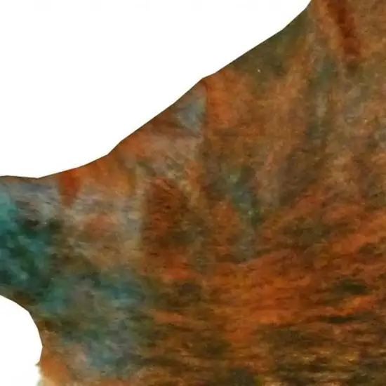 Brown And White Cowhide Handmade Area Rug Photo 4