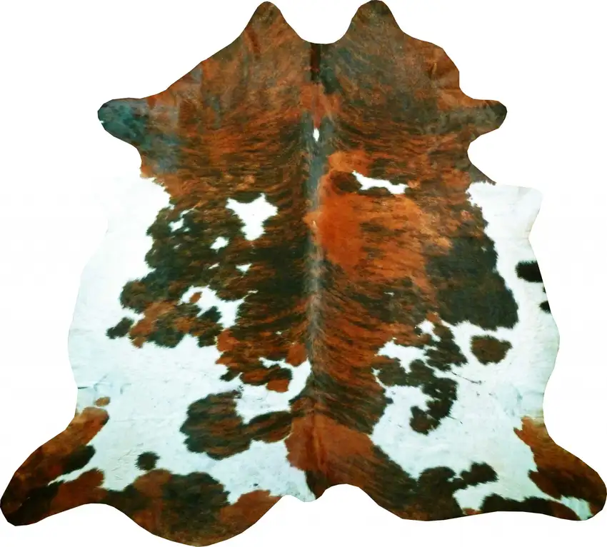 Tri-Colored Brindled Cowhide Rug Photo 1