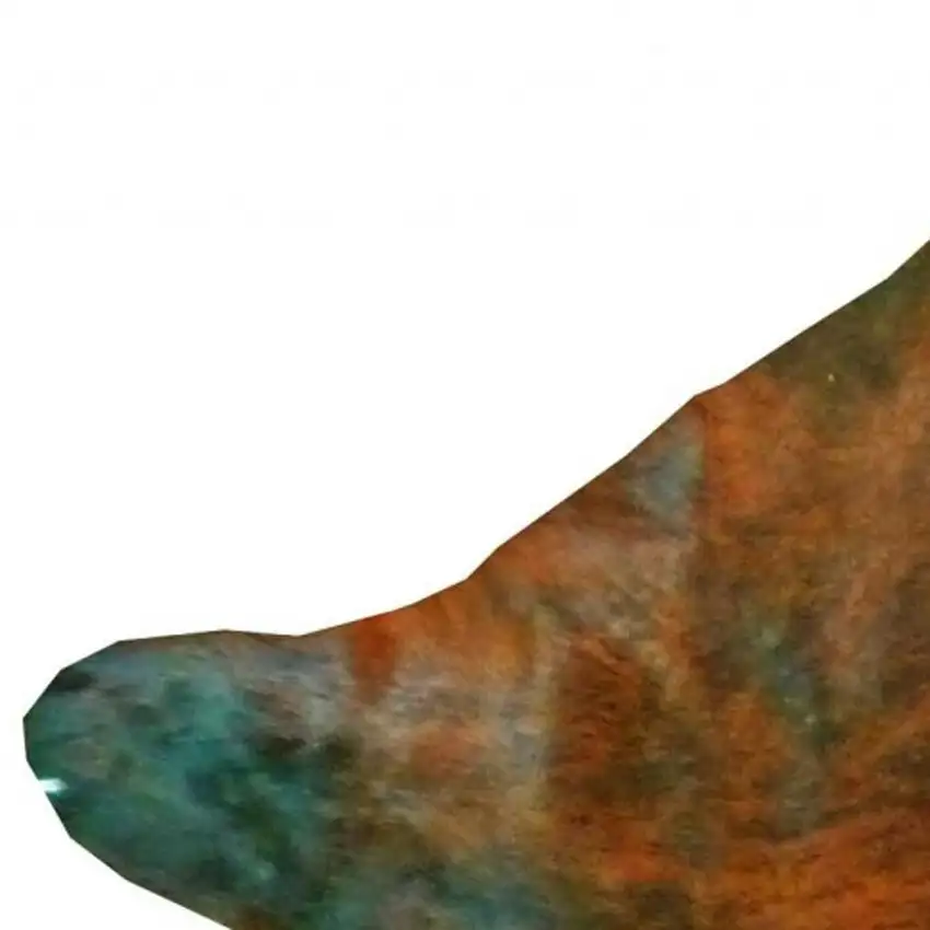 Brown And White Cowhide Handmade Area Rug Photo 5