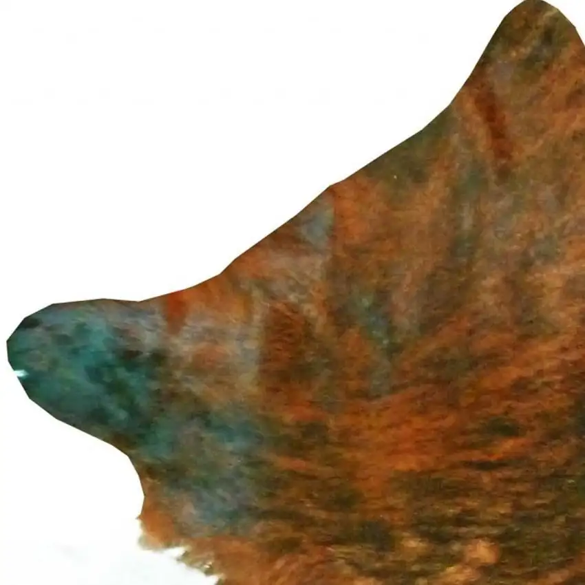 Brown And White Cowhide Handmade Area Rug Photo 6