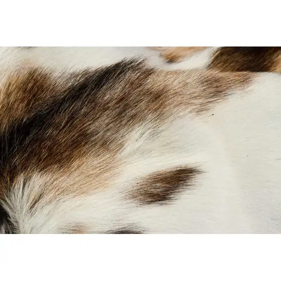 Tricolor And White Calfskin - Area Rug Photo 2