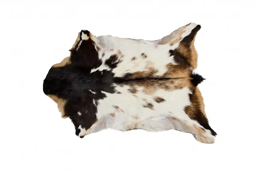 Tricolor And White Calfskin - Area Rug Photo 1
