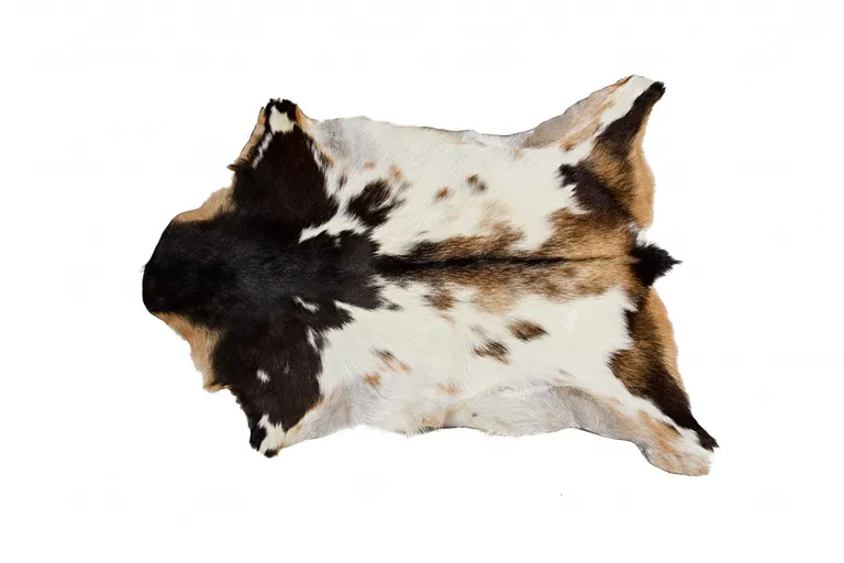 Tricolor And White Calfskin - Area Rug Photo 1