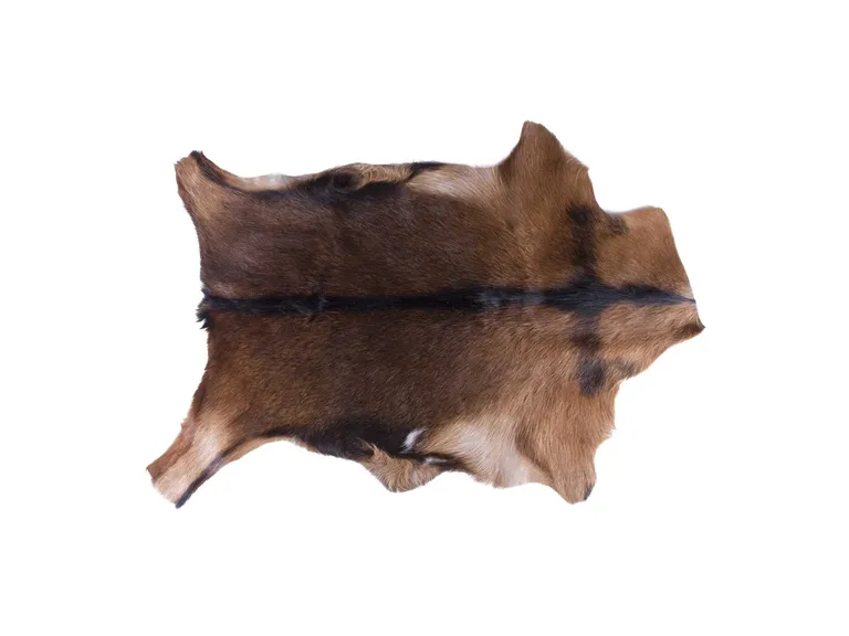 Tricolor Calfskin/Microsuede Contemporary - Area Rugs Photo 1