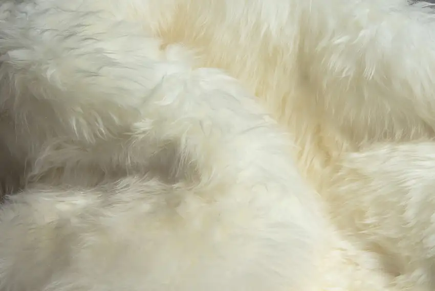 Trio Natural Sheepskin Area Rug Photo 2