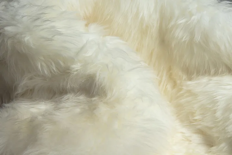 Trio Natural Sheepskin Area Rug Photo 2