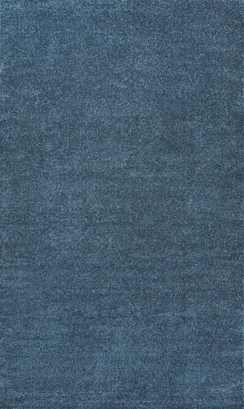 Turquoise Area Rug Photo 4