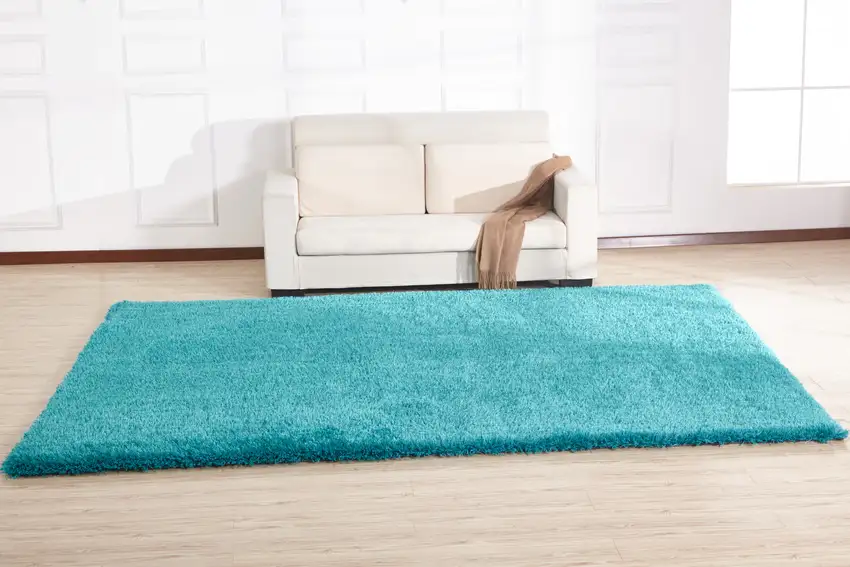 Turquoise Shag Hand Tufted Area Rug Photo 6