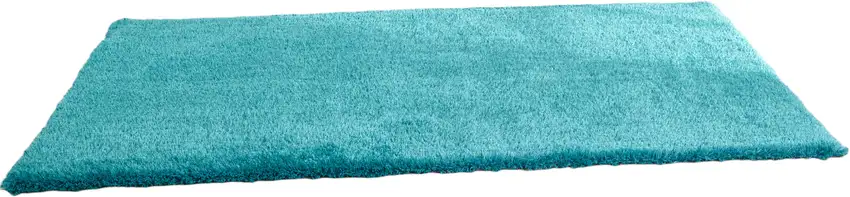 Turquoise Shag Hand Tufted Area Rug Photo 2