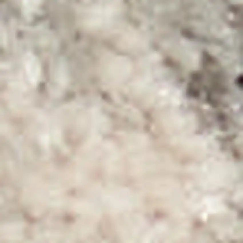 Turquoise and Cream Floral Area Rug Photo 5