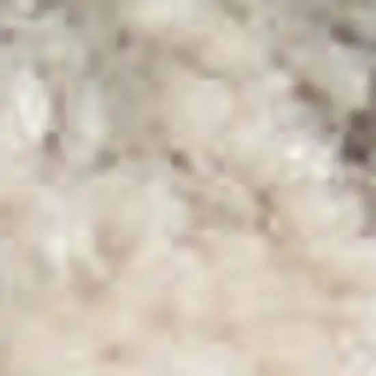 Turquoise and Cream Floral Area Rug Photo 1