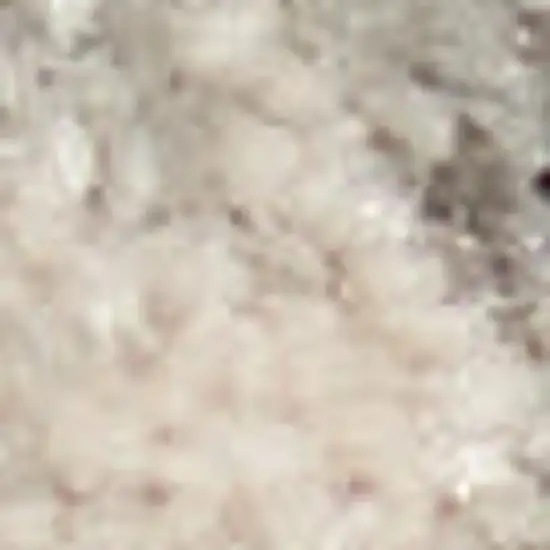 Turquoise and Cream Floral Area Rug Photo 6