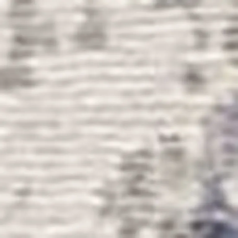 Viscose Grey or  Blue Area Rug Photo 4
