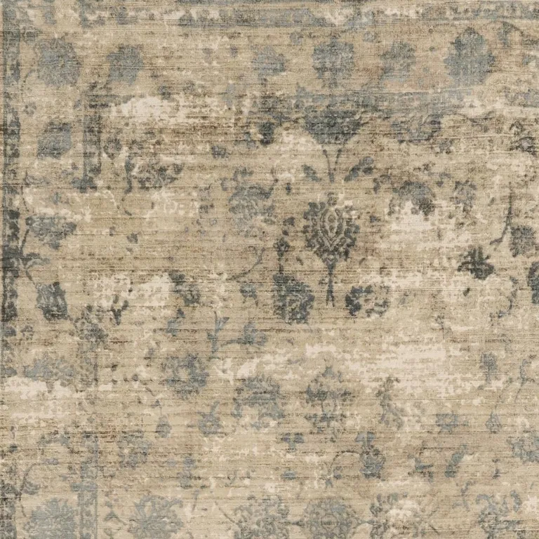 Viscose Sand or  Blue Area Rug Photo 5