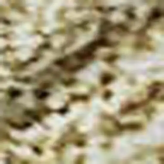 Wheat And Beige Damask Washable Area Rug With UV Protection Photo 2