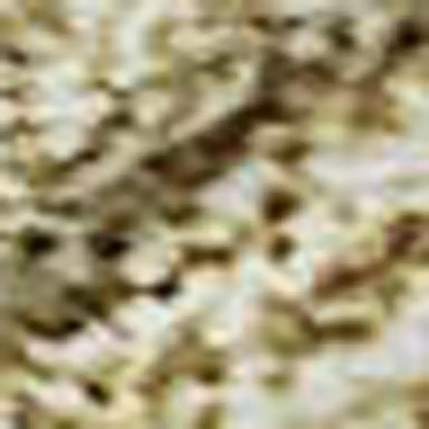 Wheat And Beige Damask Washable Area Rug With UV Protection Photo 2