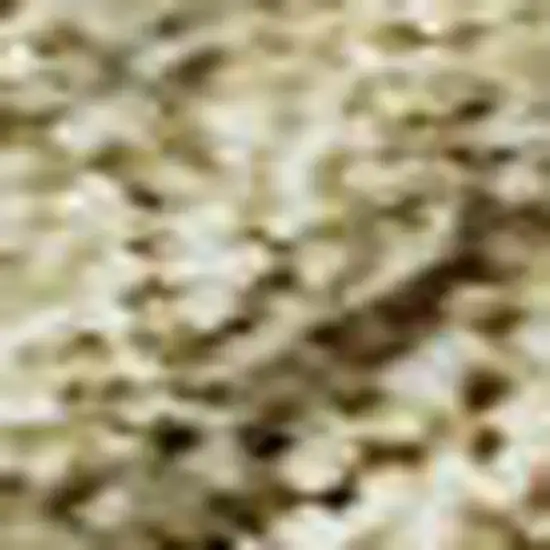 Wheat And Beige Damask Washable Area Rug With UV Protection Photo 2