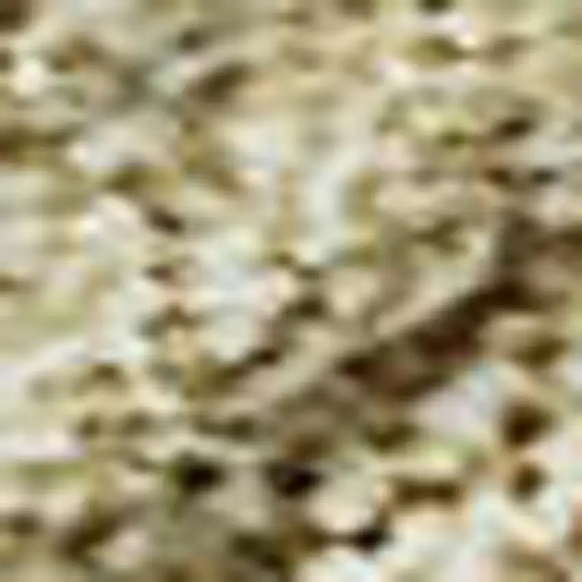 Wheat And Beige Damask Washable Area Rug With UV Protection Photo 2