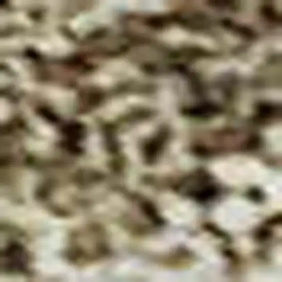 Wheat And Beige Geometric Washable Area Rug With UV Protection Photo 2