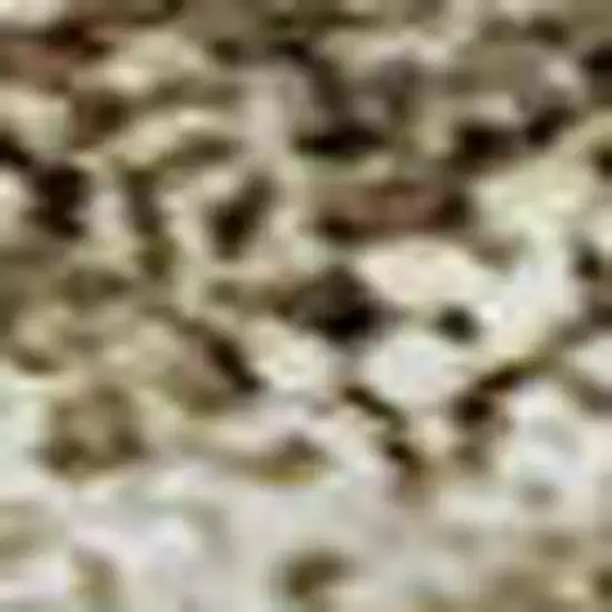 Wheat And Beige Geometric Washable Area Rug With UV Protection Photo 2