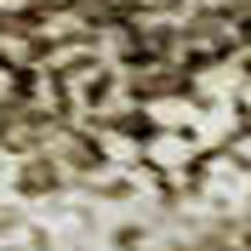 Wheat And Beige Geometric Washable Area Rug With UV Protection Photo 2