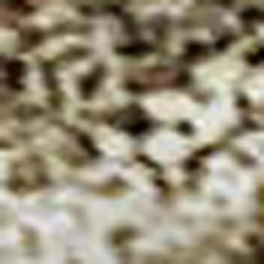 Wheat And Beige Geometric Washable Area Rug With UV Protection Photo 2