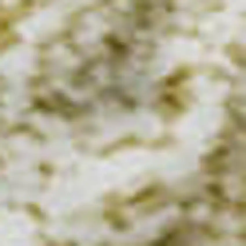 Wheat And Beige Ombre Washable Area Rug With UV Protection Photo 3