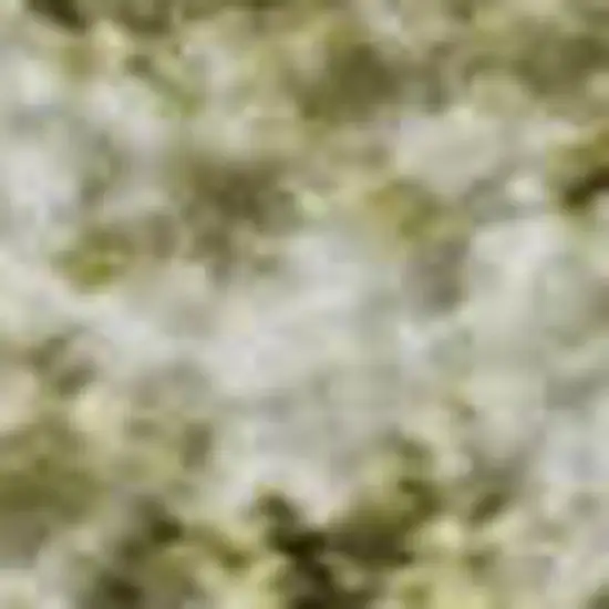 Wheat And Ivory Oriental Washable Area Rug With UV Protection Photo 2