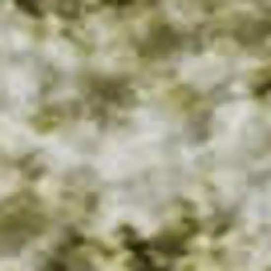 Wheat And Ivory Oriental Washable Area Rug With UV Protection Photo 2