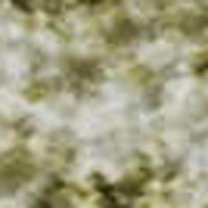 Wheat And Ivory Oriental Washable Area Rug With UV Protection Photo 2