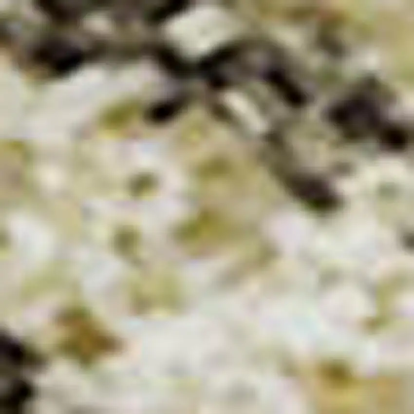 Wheat Beige And Gray Geometric Washable Area Rug With UV Protection Photo 2