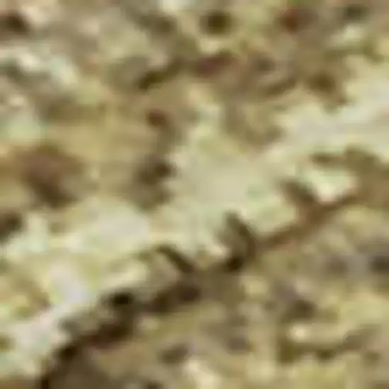 Wheat Gold And Linen Striped Washable Area Rug With UV Protection Photo 1